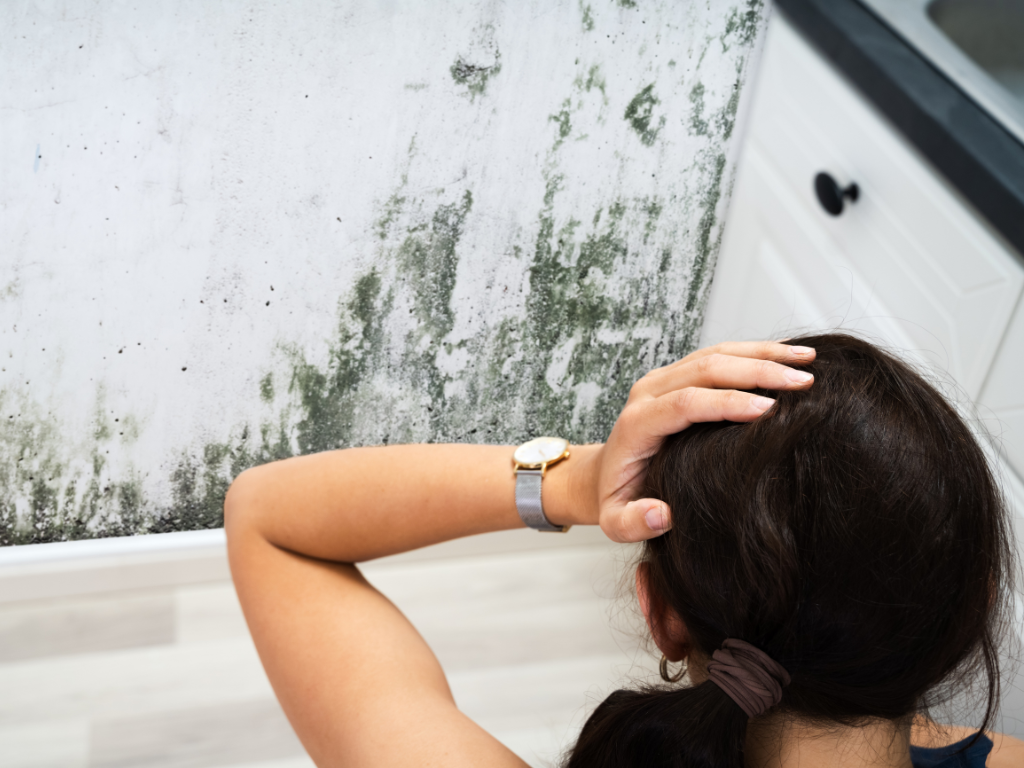 How to Get Rid of Black Mold: Your Ultimate Guide to Safe Removal and Prevention